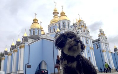 Taking your dog to Ukraine