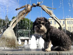 willie at the kissing fountain in Kharkiv